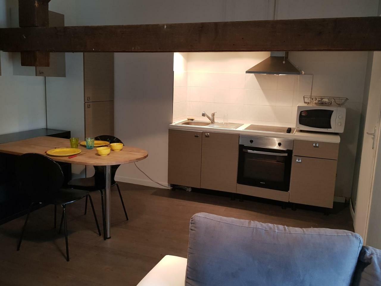 Les Studios De La Rose Des Vents Sathonay-Camp Ngoại thất bức ảnh